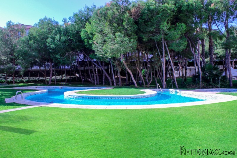 1 Bedroom - Apartment - Costa Blanca..