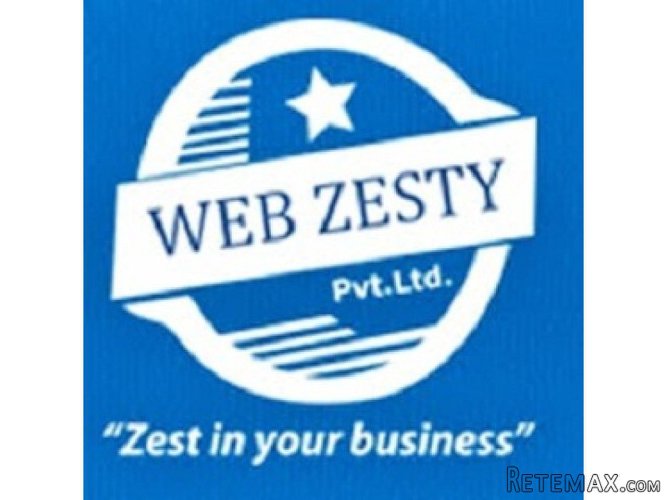 Web Designing Company