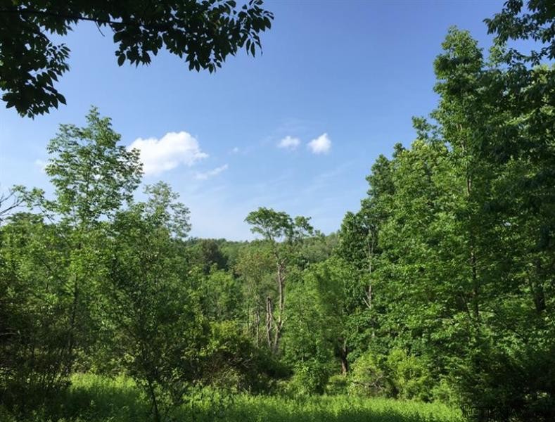 Land For Sale: Camby Rd Verbank NY 12585