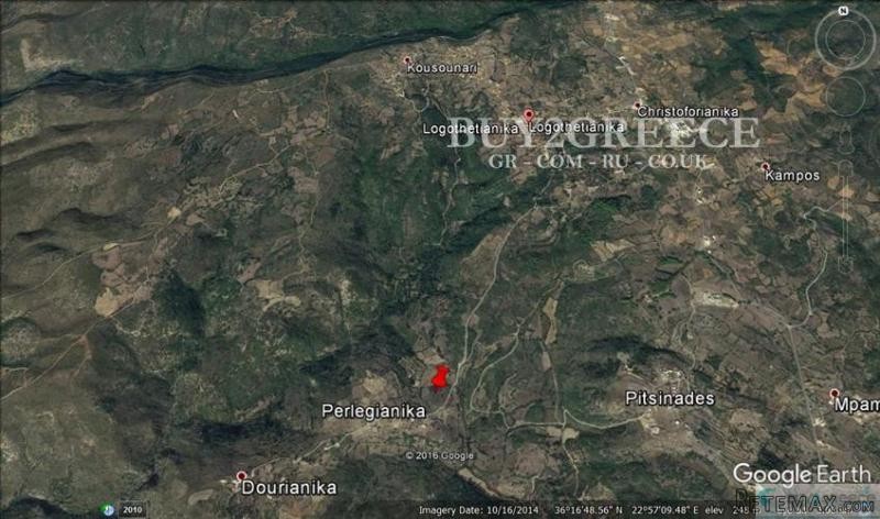 B774 - FOR SALE FORESTRY PLOT OF 4 ACRES