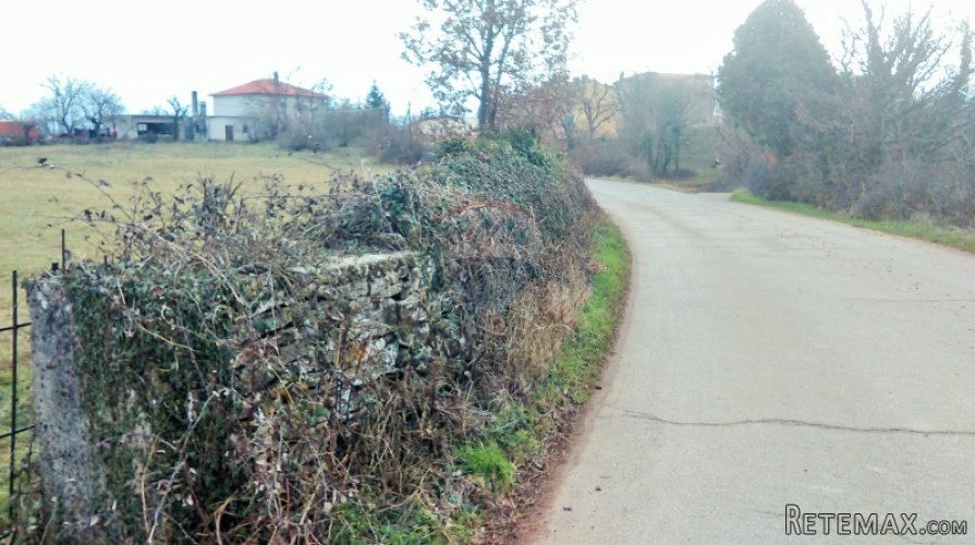 Građevinsko zemljište u središnjoj Istri - 3
