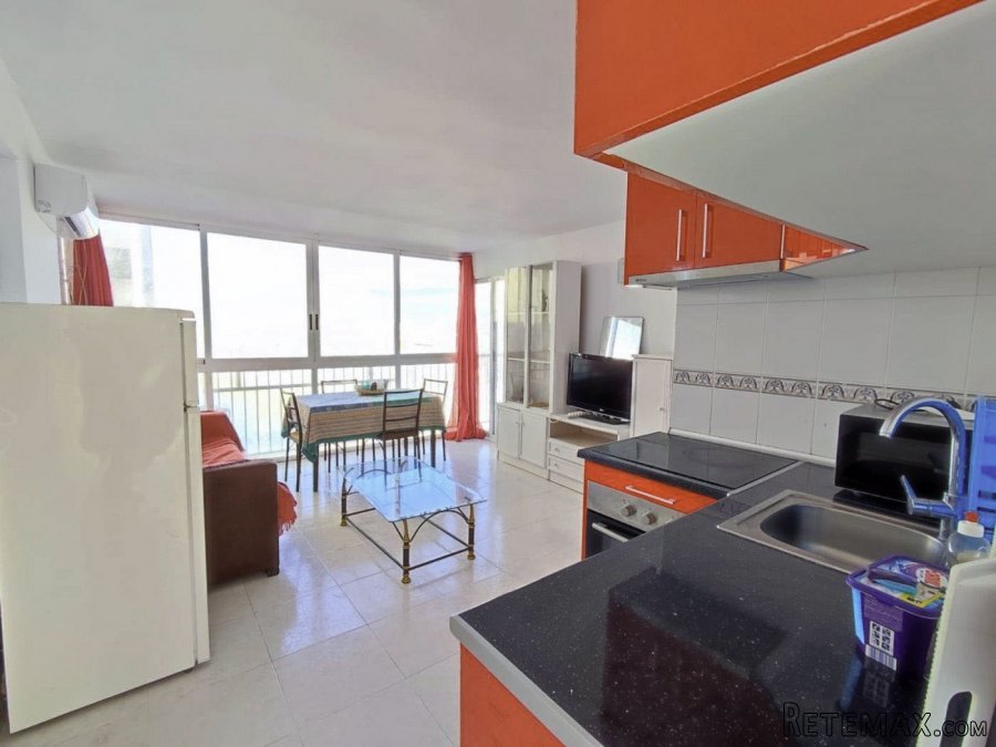 Apartamento de 1 dormitorios con armario empotrado y baño.. - 3