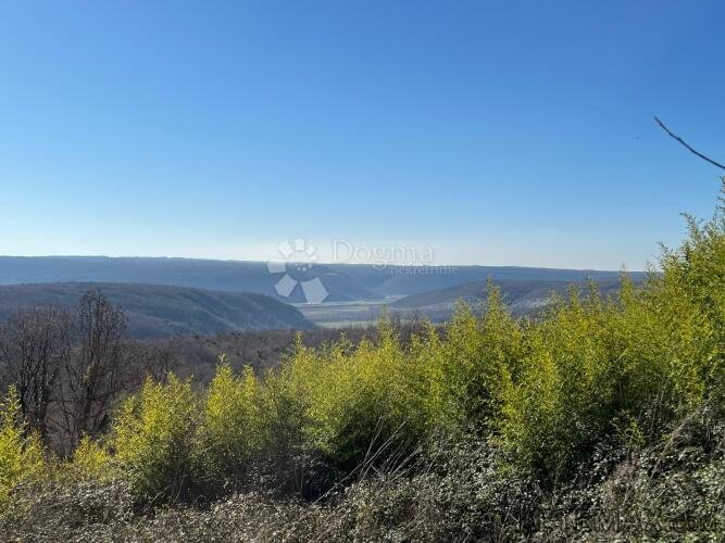 BUJE, ZEMLJIŠTE SA JEDINSTVENIM POGLEDOM