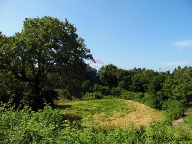 Istra, Marići, veliko građevinsko zemljište na rubu mjesta - 2