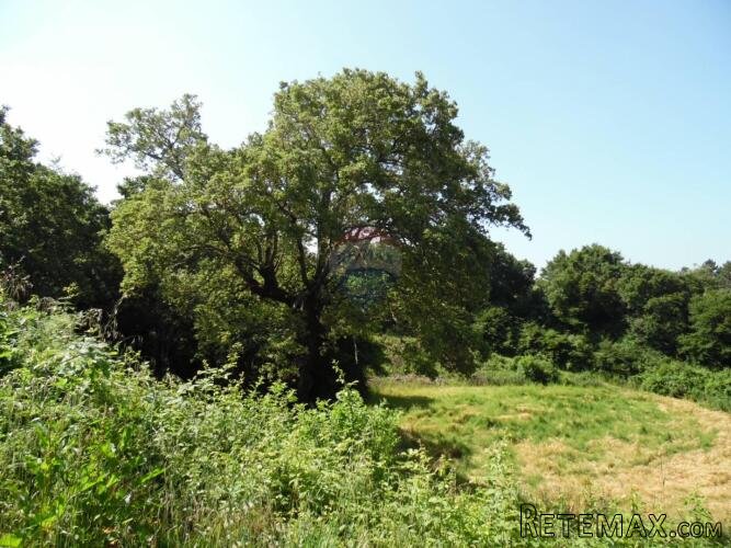 Istra, Marići, veliko građevinsko zemljište na rubu mjesta - 3