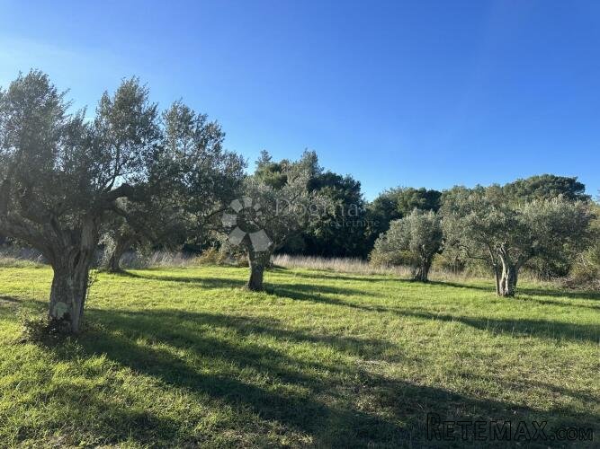 EKSKLUZIVNO - Prostrano zemljište na lijepoj lokaciji