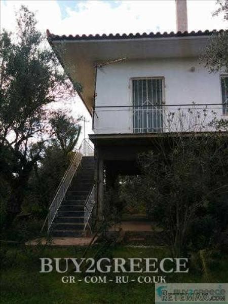B720 - FOR SALE LAND OF 5 ACRES - 2