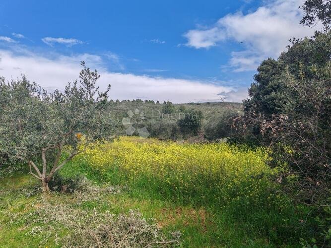 Građevinsko Zemljište Sukošan 1062 m2