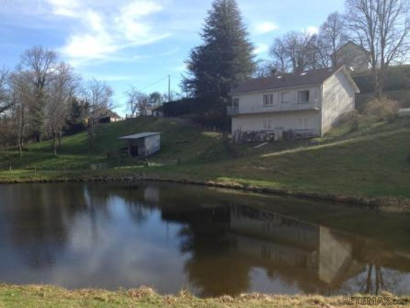 Nice Detached House with Lake