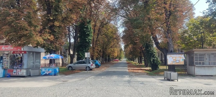 HIT PONUDA!Ocuvana i namestena kuca na korak od Banje Junakovic- - 20