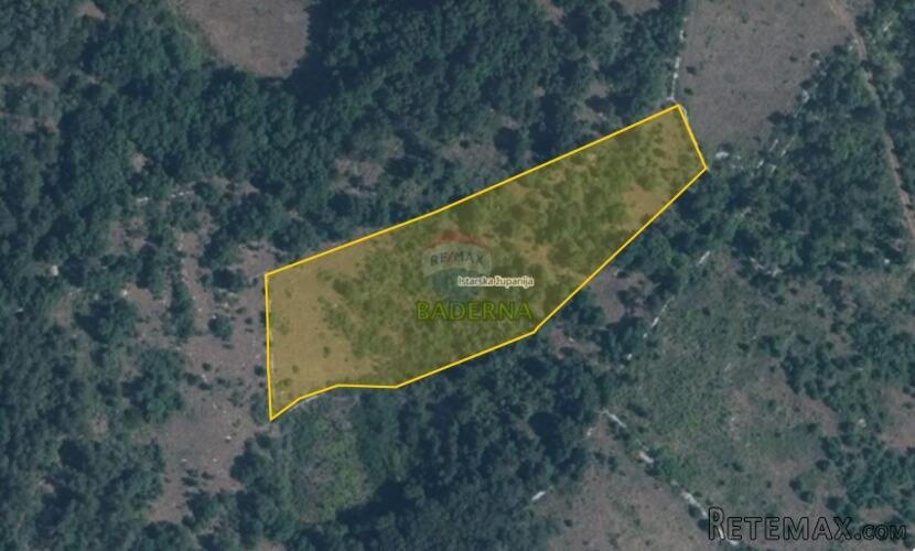 Istra, Baderna - pašnjak 8421 m2 - 2