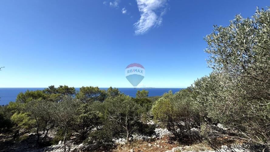 Veli Lošinj, Poljoprivredno zemljište sa maslinikom - 2