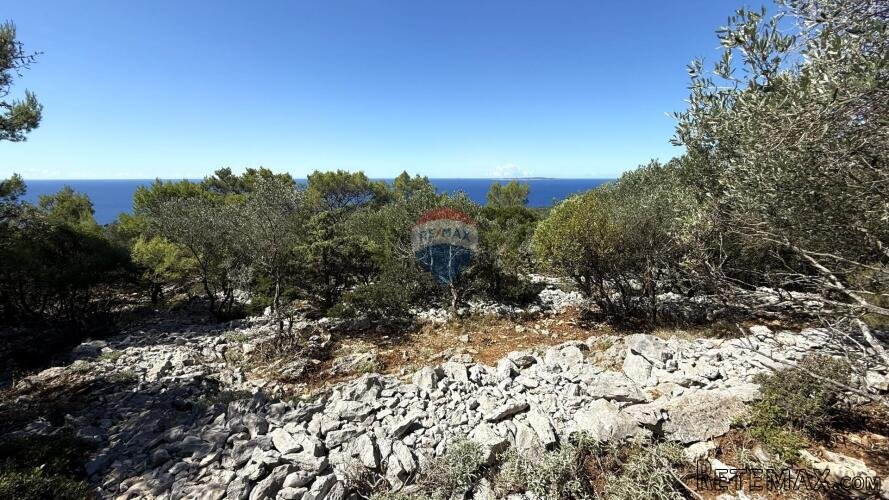 Veli Lošinj, Poljoprivredno zemljište sa maslinikom - 3