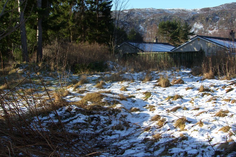 Shelter Stone New Build Plot, Grampian.. - 2