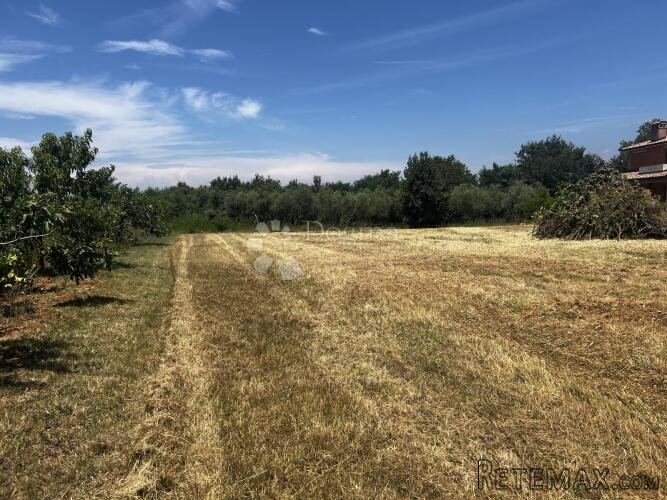 Osunčano građevinsko zemljište pravilnog oblika