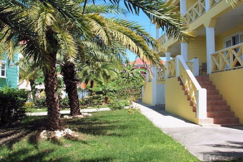 Palm Tree Apartment $215,000