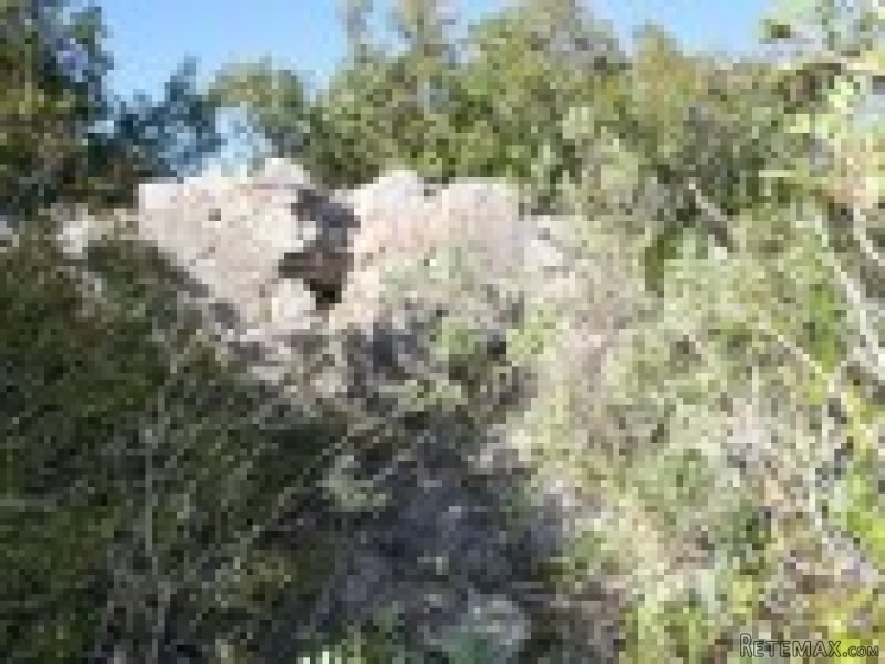Rural Land, Loule › Loule (Sao Clemente) - 2