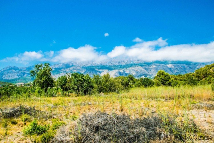 Large plot of 15.000m2 with beautiful sea views in Altea... - 4