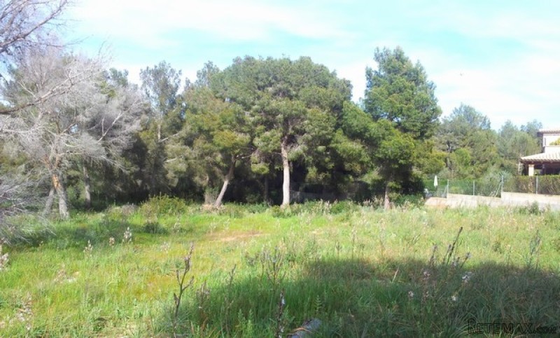 plot for sale in nova santa ponsa near.. - 2