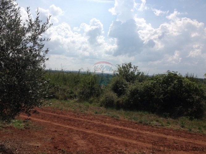Lanterna građevinsko zemljište 8254m2 - 3