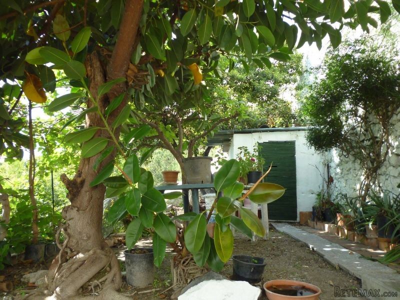 3 Bedrooms - Town House - Malaga - For.. - 2