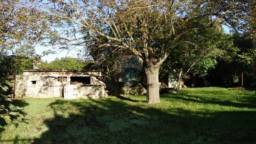 SVETVINČENAT, KAMENA SAMOSTOJEĆA KUĆA S LIJEPOM I VELIKOM... - 3