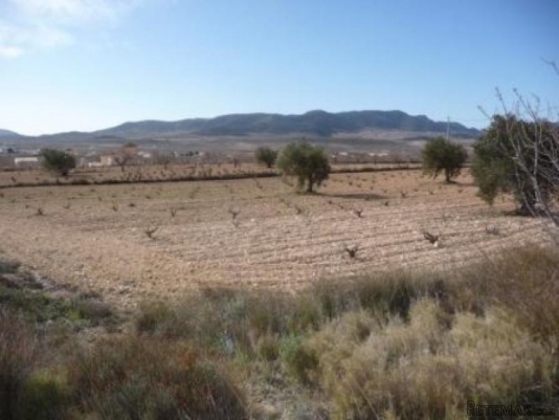 Legal Building Plot - Mh2046p - 2