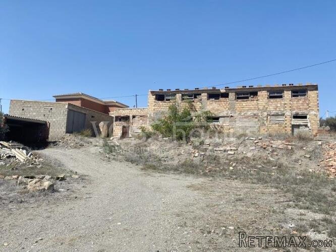 Large plot of rustic land with various olive trees of..