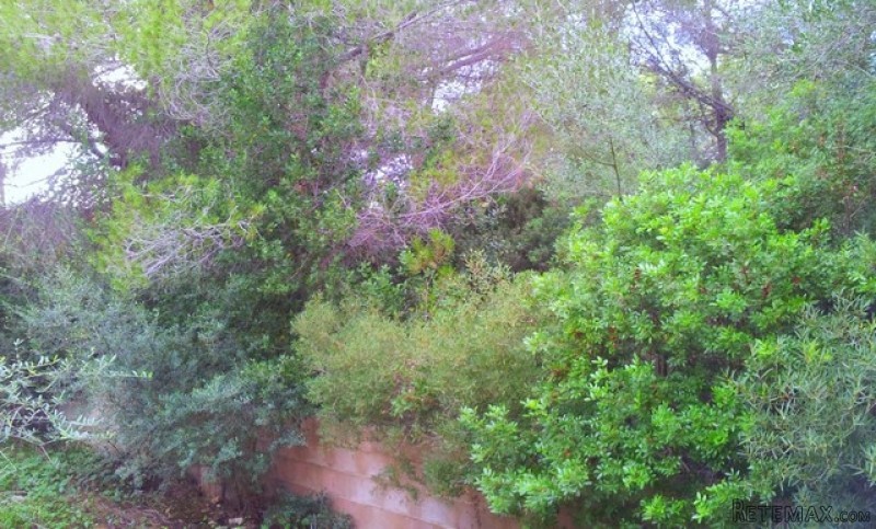 Plot for sale in Nova Santa Ponsa -.. - 2