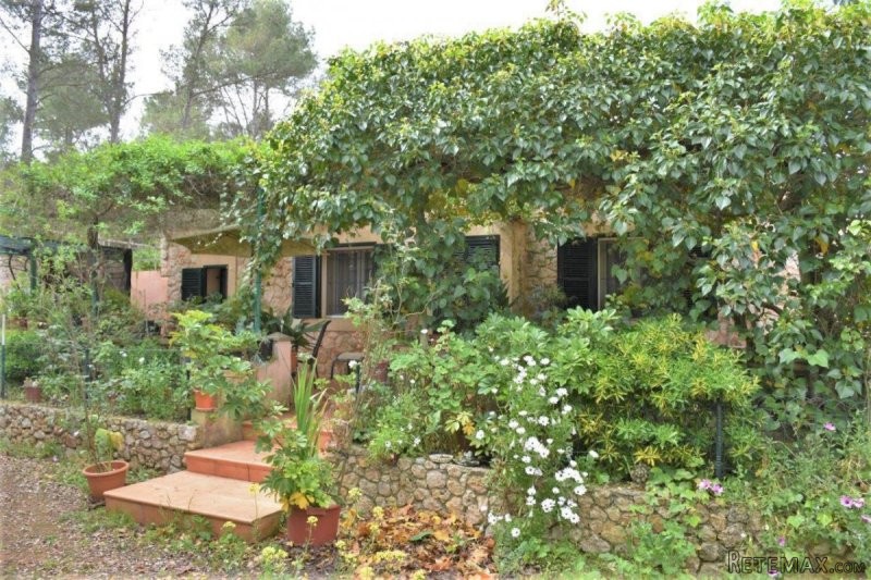 Finca close to Sineu, surrounded by an.. - 2