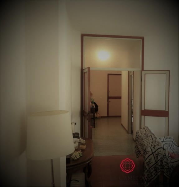 For Sale Apartment Camaiore - 2