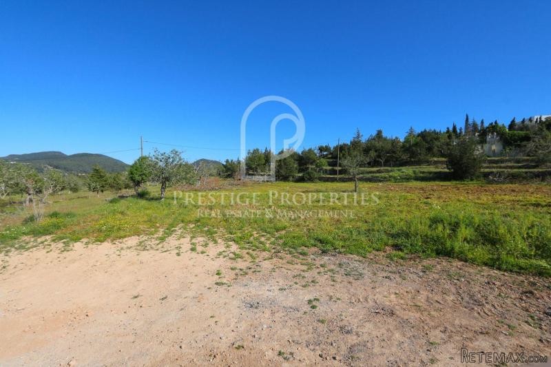 Four independent plots of land for sale..