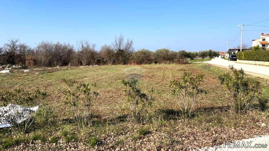 Istra, Poreč okolica, građevinsko zemljište 5km od grada - 3