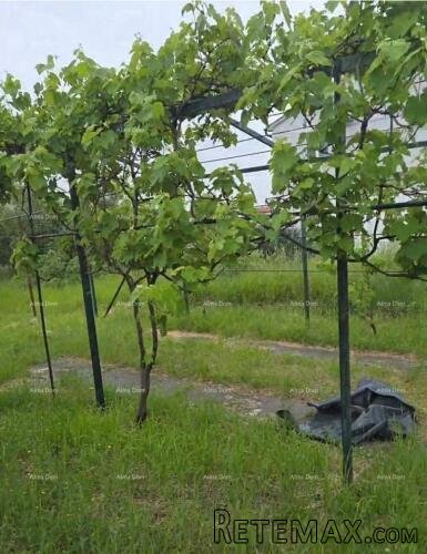 Barbariga! GRAĐEVINSKO ZEMLJIŠTE SA Garažom s Uporabnom do.. - 4