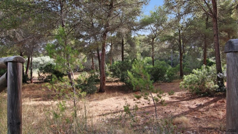Sought after plot in excellent.. - 2