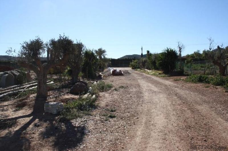 Finca, Las Barracas - 2