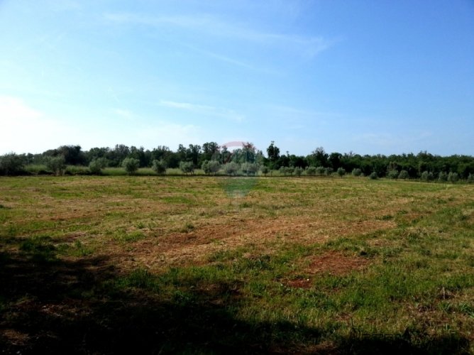 MEDULIN OKOLICA,ZEMLJIŠTE ZA GRADNJU TURISTIČKOG NASELJA - 3