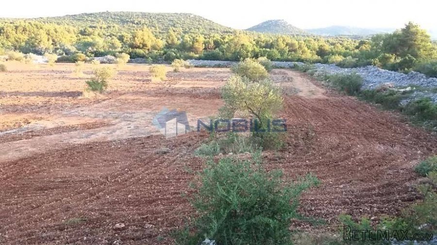 Šibenik, Vodice, građ. zemljište 15988 m2, maslinik, vl..