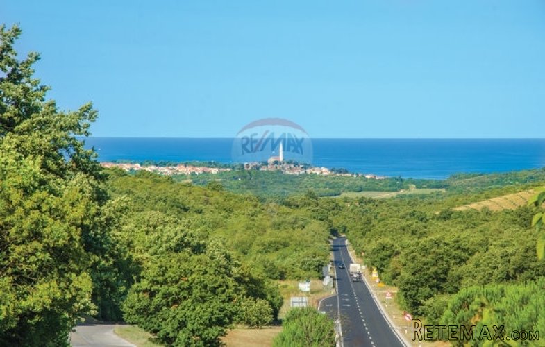 ISTRA, ROVINJ, šuma s ucrtanom ruševinom