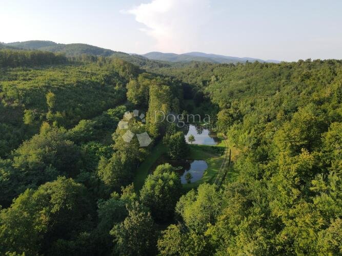 Ribnjaci Slavonija kod N.Gradiške - 2