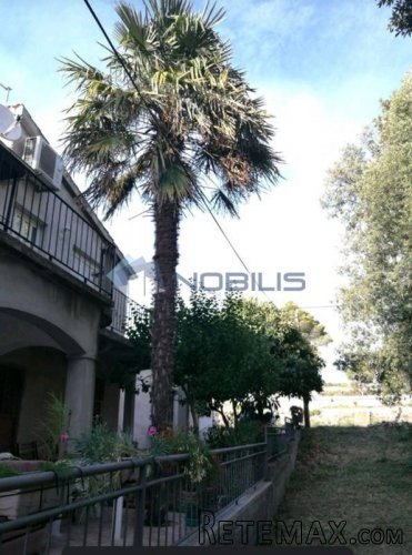 Zadar, Bibinje kuća sa 1260 m2 okućnice