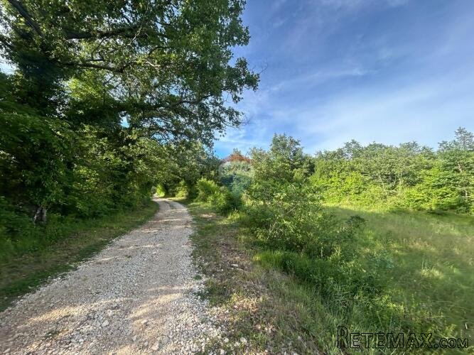 Istra, Baderna, lijepo poljoprivredno zemljište - 2