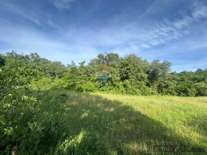 Istra, Baderna, lijepo poljoprivredno zemljište - 3