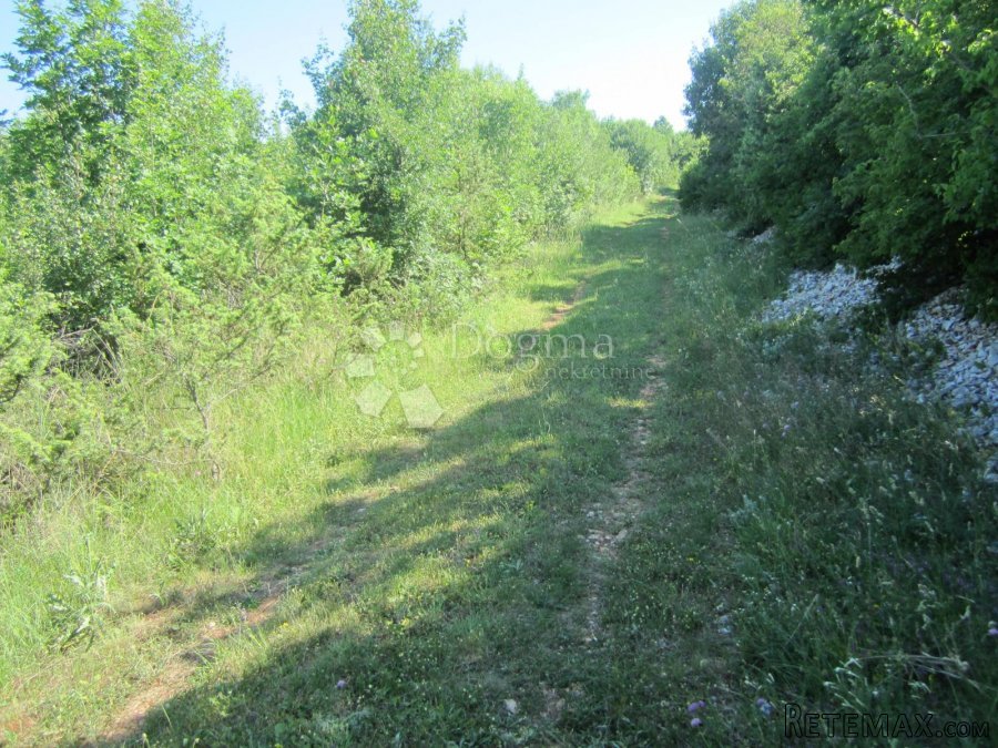 Prostrana poljoprivredna parcela