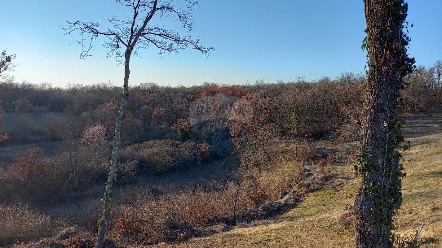 Istra, okolica Kanfanara, Mrgani, veliko zemljište uz rub na - 2