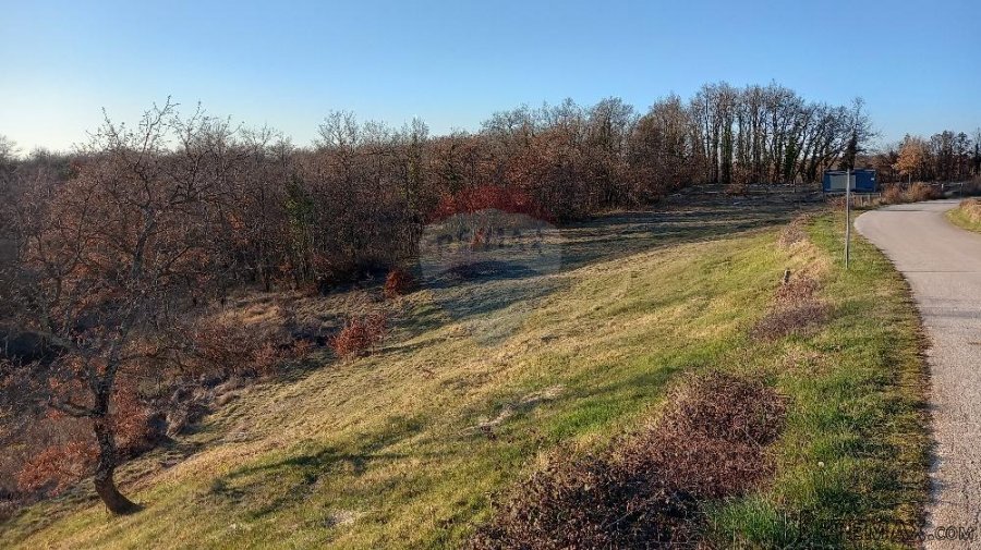 Istra, okolica Kanfanara, Mrgani, veliko zemljište uz rub na - 5
