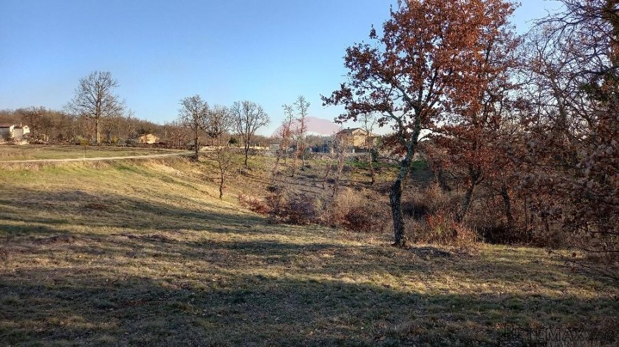 Istra, okolica Kanfanara, Mrgani, veliko zemljište uz rub na - 9