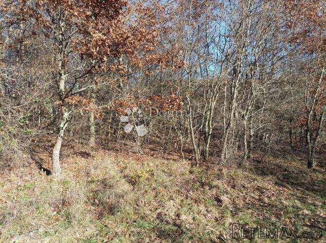 Poljoprivredno zemljište 2020m2 10800e - PRILIKA - 2