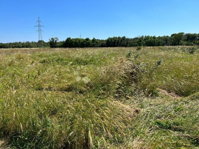 Poljoprivredno zemljište u Puli, Busoler - 1290m2 - 2