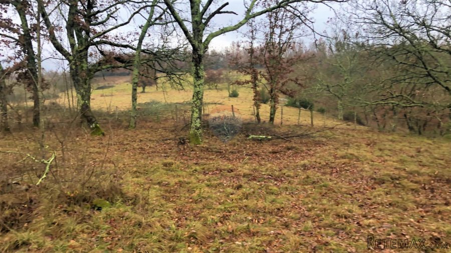 Istra, Grožnjan okolica, lijepa građevinska parcela - 3